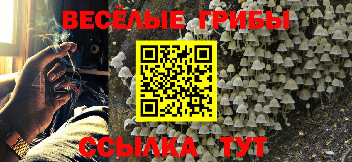 Шахты  Псилоцибиновые грибы мицелий  Вход с VPN 